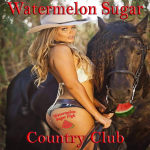 Watermelon Sugar Club Logo